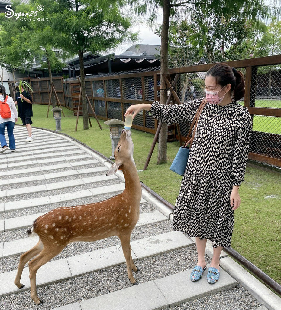 宜蘭張美阿嬤農場11.jpg