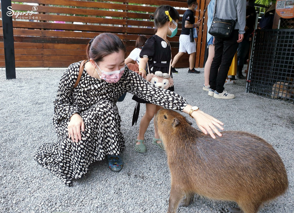 宜蘭張美阿嬤農場21.jpg