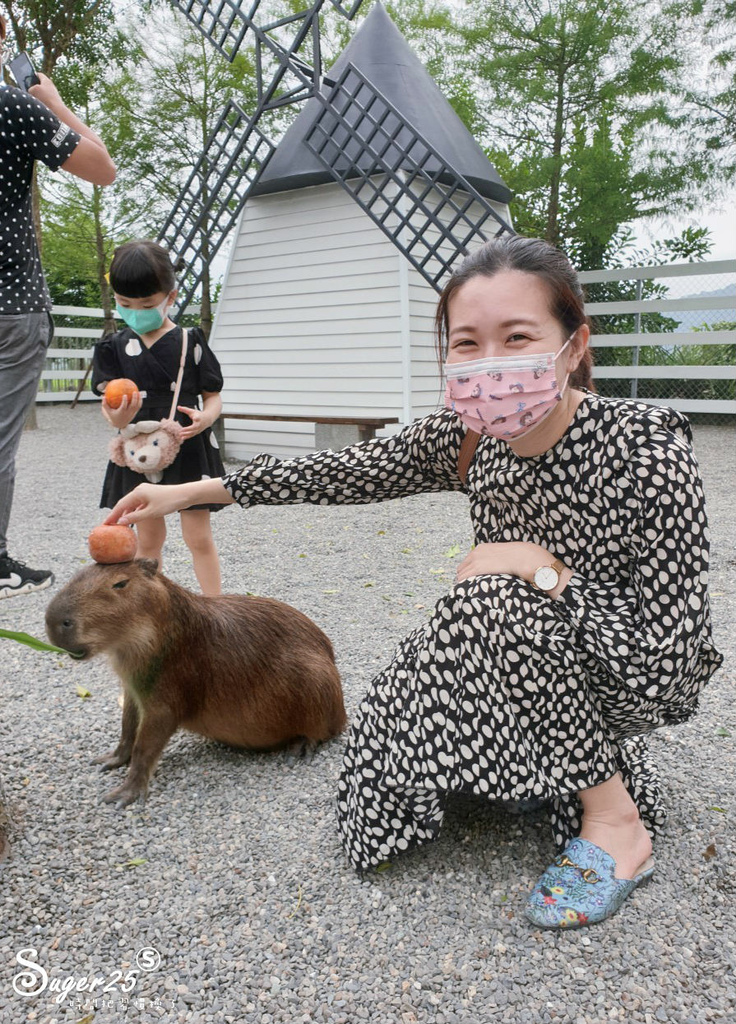 宜蘭張美阿嬤農場29.jpg