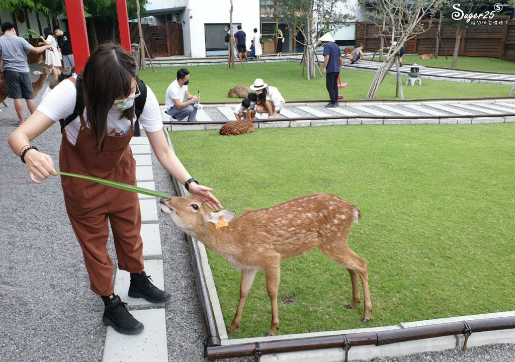 宜蘭張美阿嬤農場38.jpg