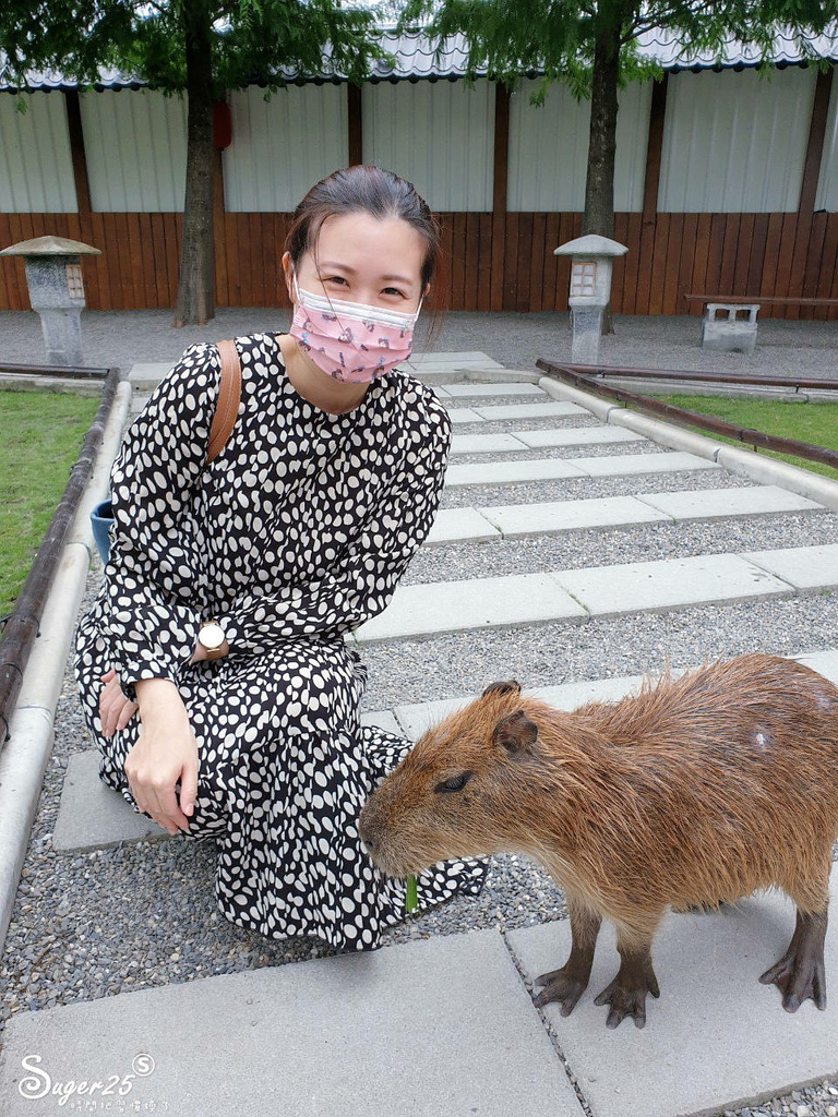 宜蘭張美阿嬤農場52.jpg