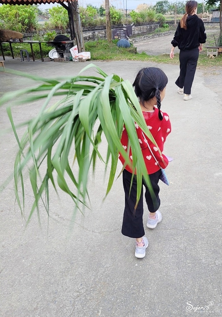 牛頭司體驗農場6.jpg