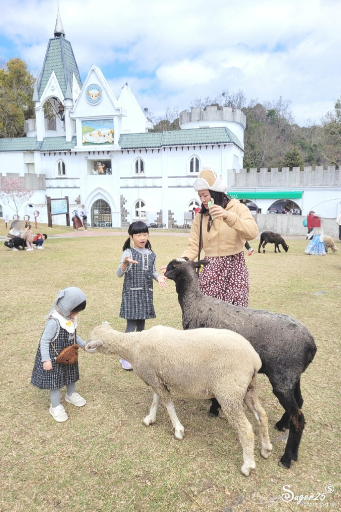 南投清境農場65.jpg