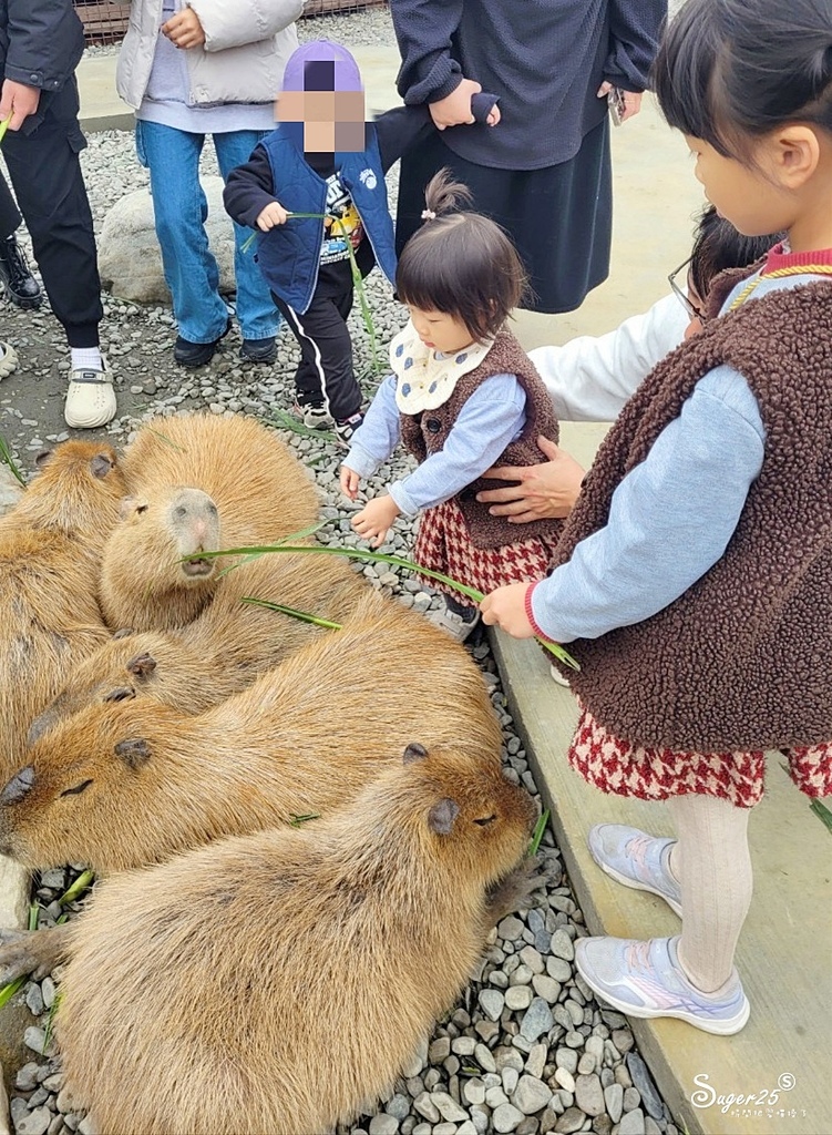 宜蘭蘭陽動植物王國10.jpg