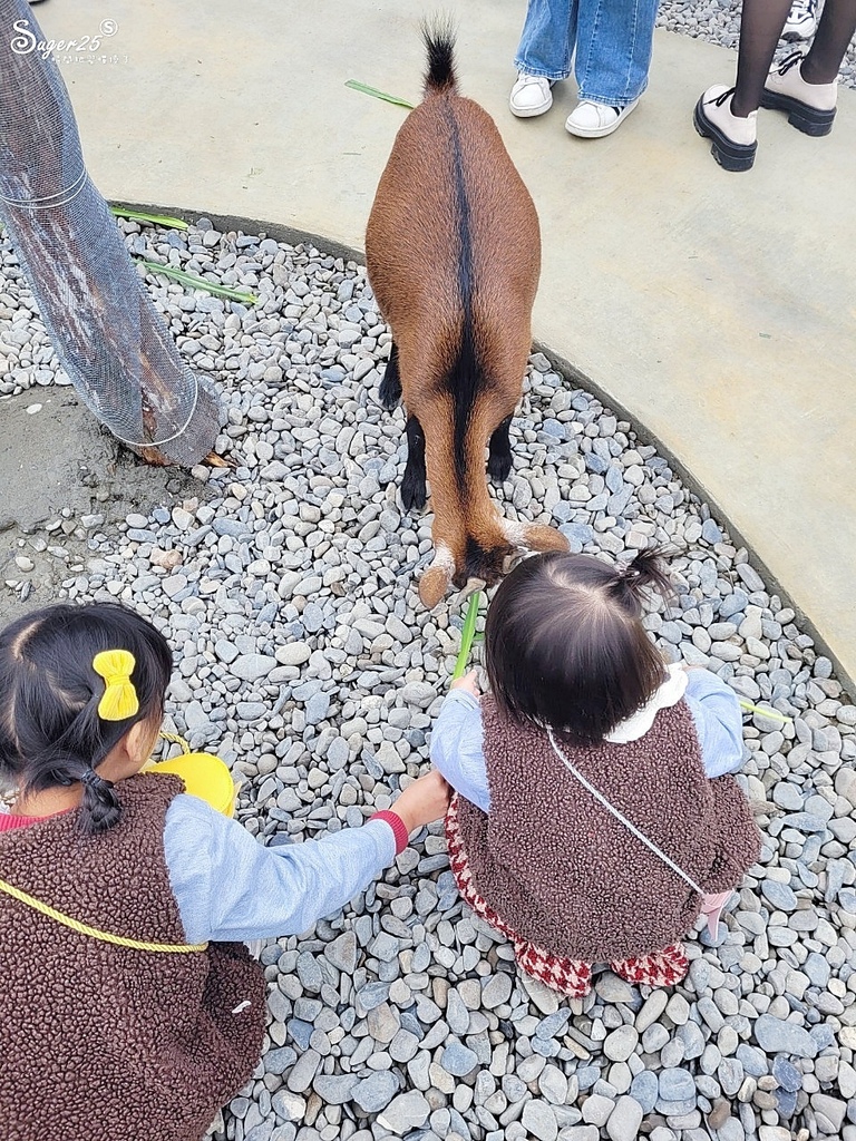 宜蘭蘭陽動植物王國12.jpg