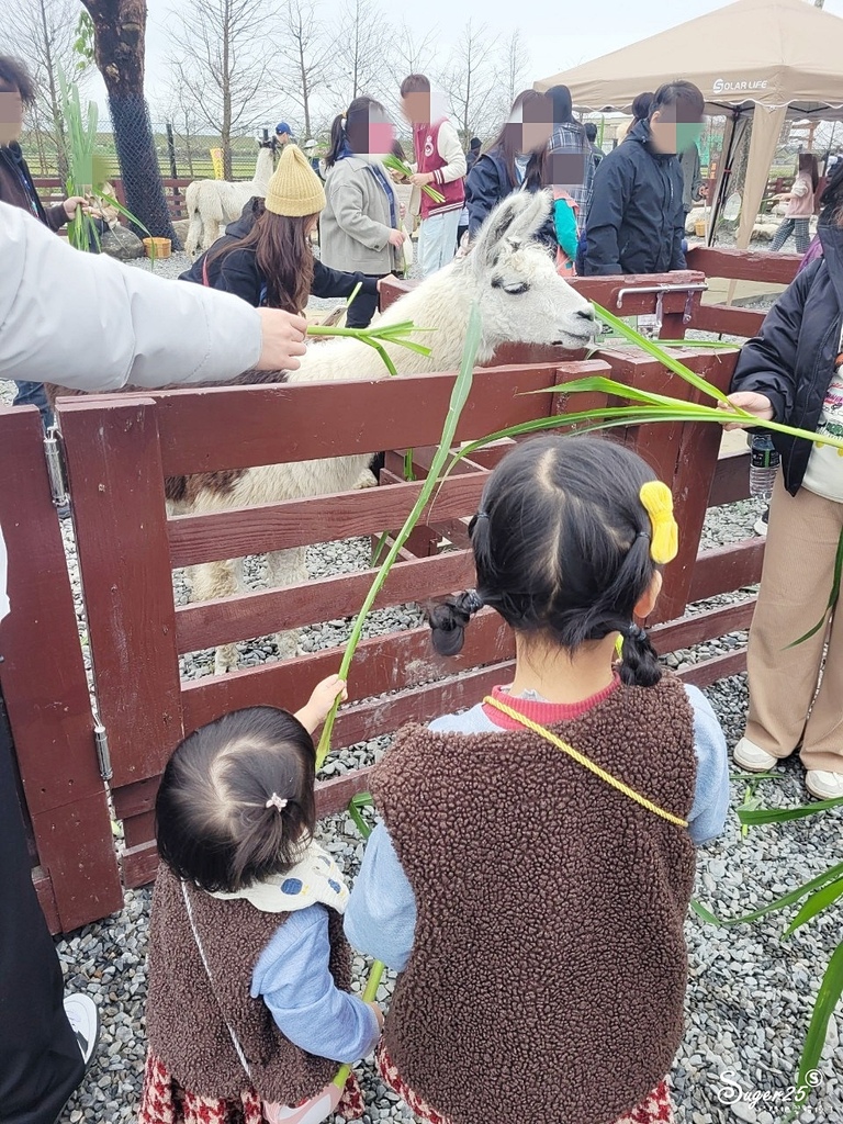 宜蘭蘭陽動植物王國15.jpg