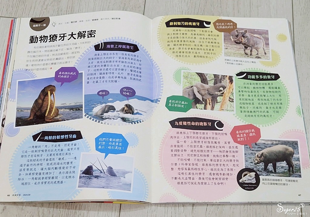 未來兒童少年雜誌28.jpg