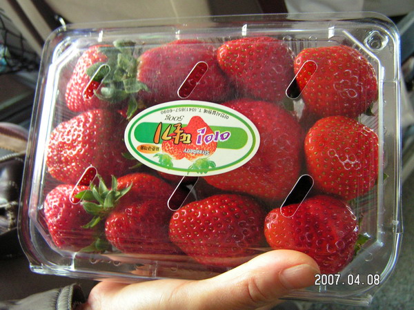  草莓２ 
