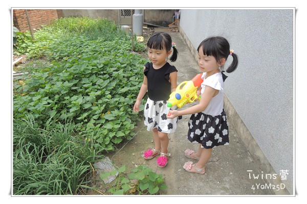 DSCN4214 DSCN4214