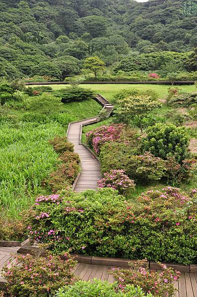 恬靜的大屯山自然公園