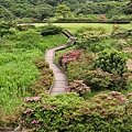 恬靜的大屯山自然公園