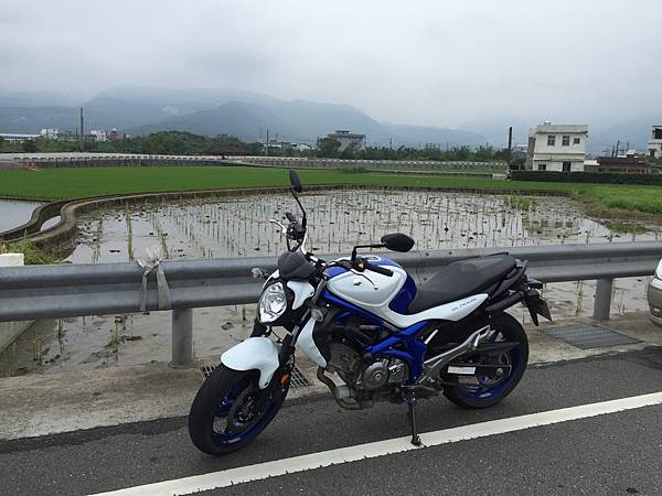 SUZUKI_SFV650