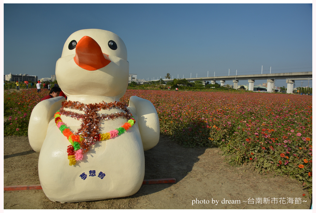台南13新市花海節 追夢の翅膀 生活點滴 痞客邦 台南13新市花海節 追夢の翅膀 生活點滴 痞客邦