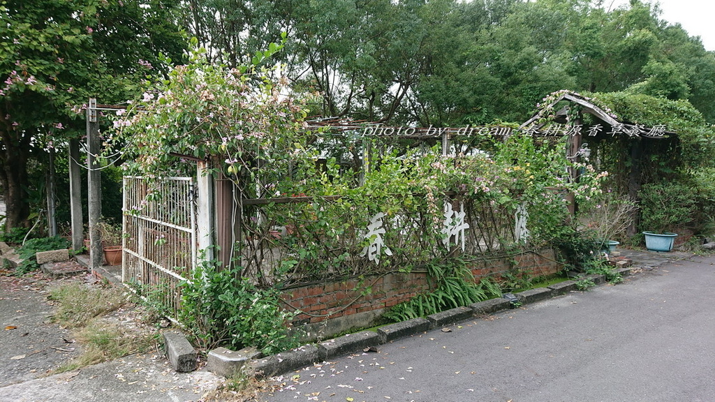 DSC_3738_調整大小 .JPG