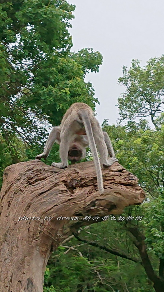 31_調整大小 .jpg