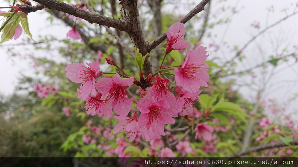 DSC_2286_調整大小 .JPG