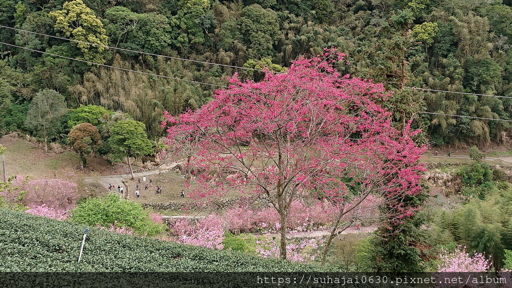 DSC_7814_調整大小 .JPG