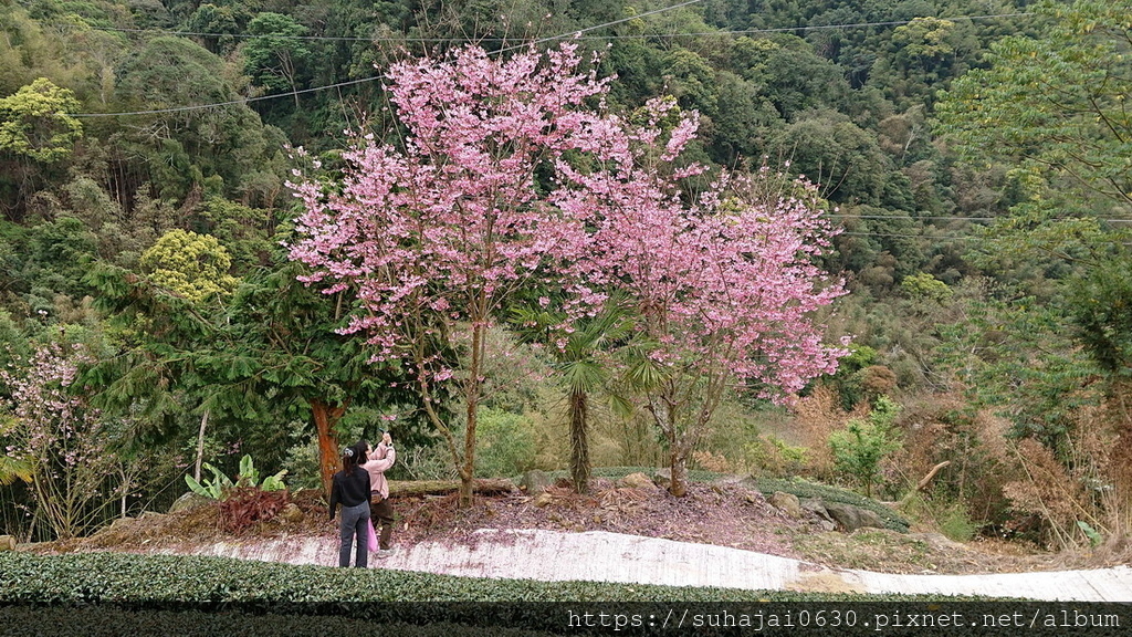 DSC_7824_調整大小 .JPG