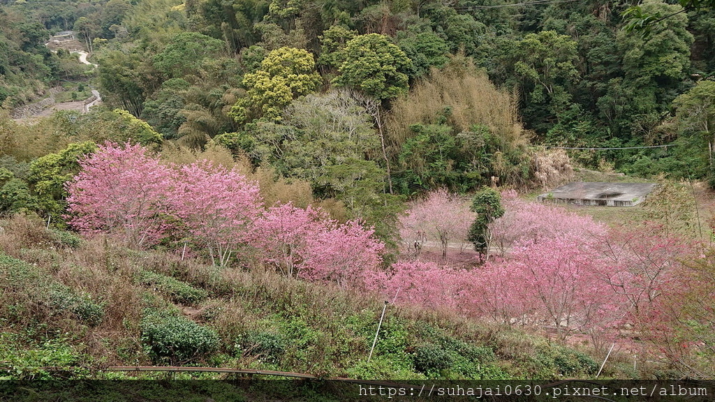 DSC_7832_調整大小 .JPG