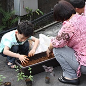 0507城市小農_04.JPG 0507城市小農_04.JPG