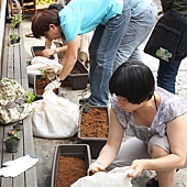 0507城市小農_06.JPG 0507城市小農_06.JPG