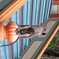 照片 167.jpg