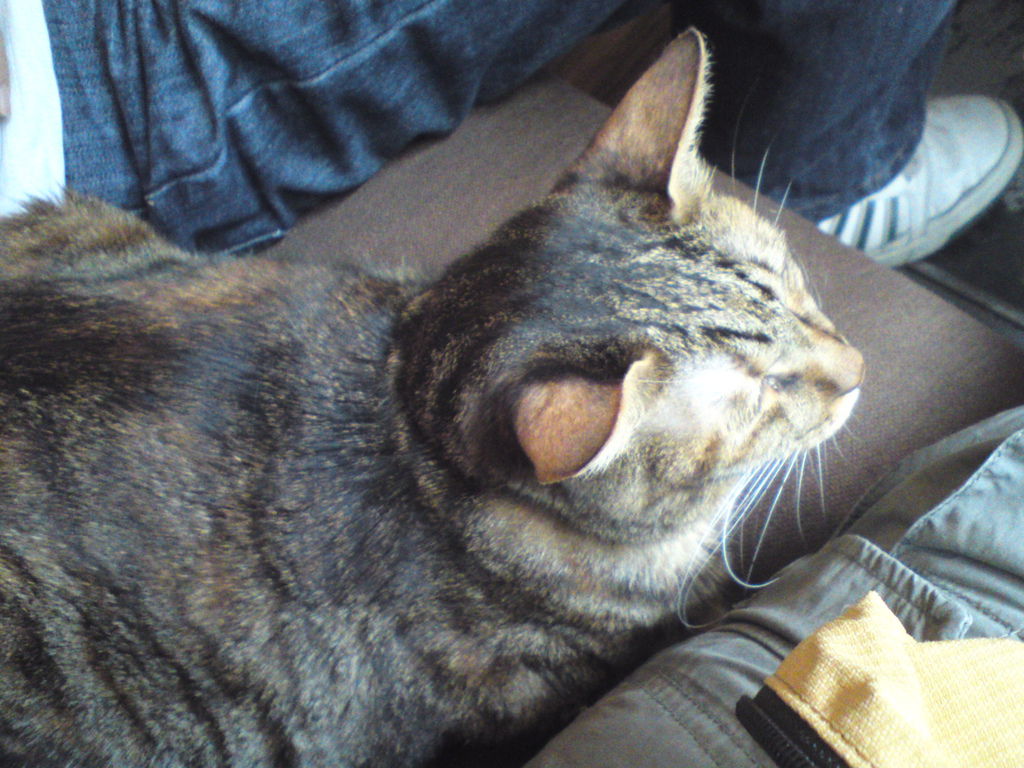 DSC04049 DSC04049