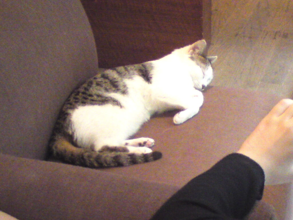 DSC04053 DSC04053