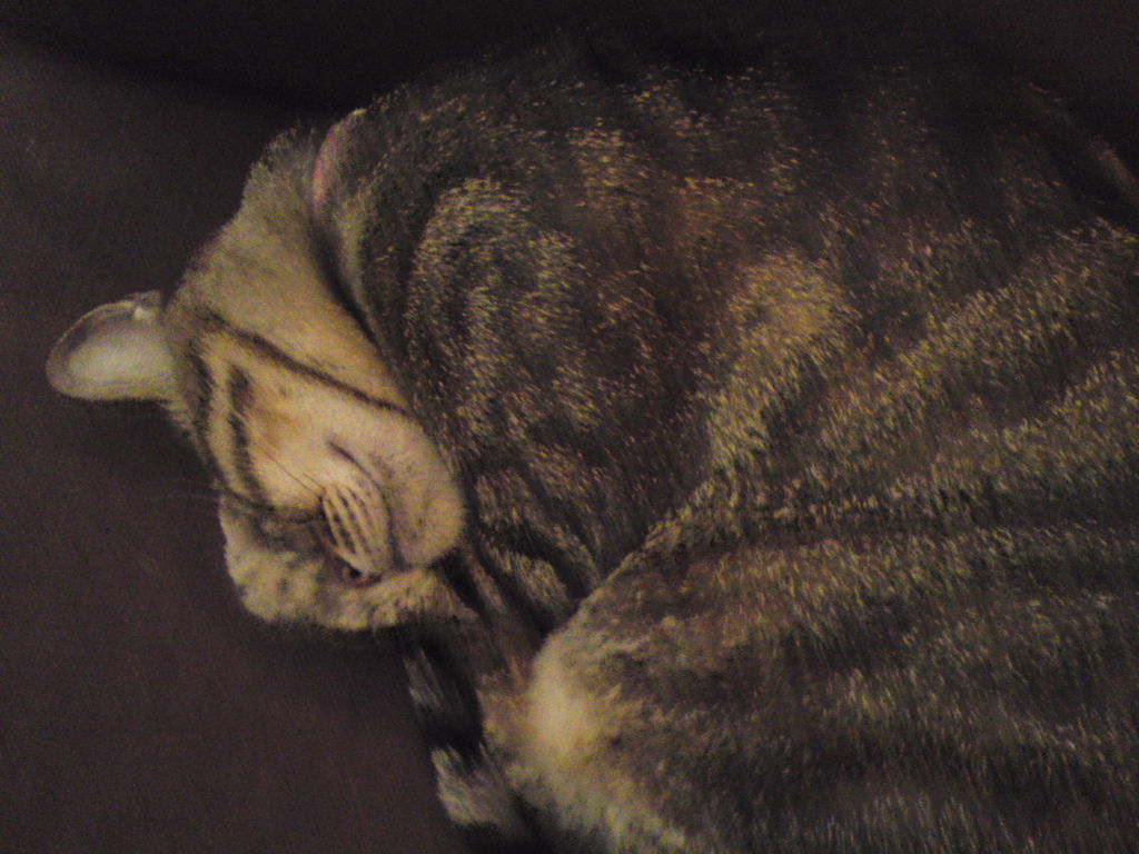 DSC04068 DSC04068