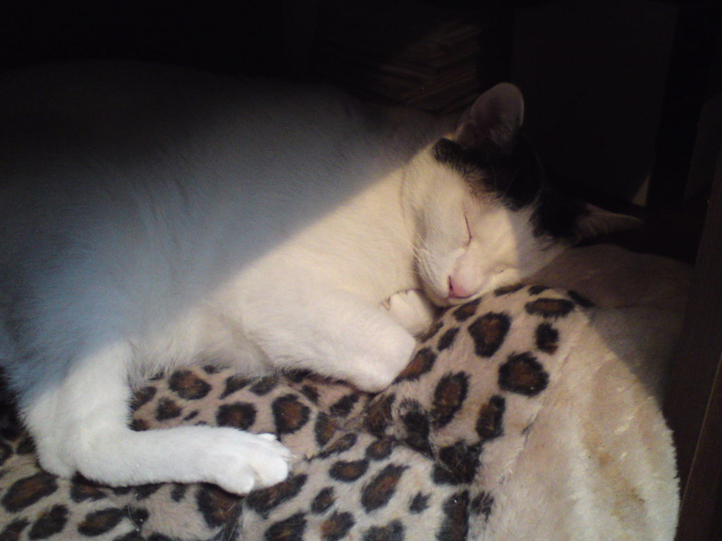 DSC04110 DSC04110
