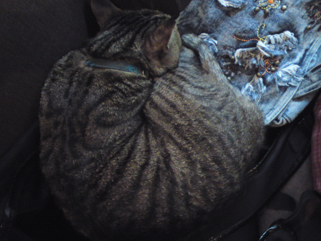 DSC04153 DSC04153