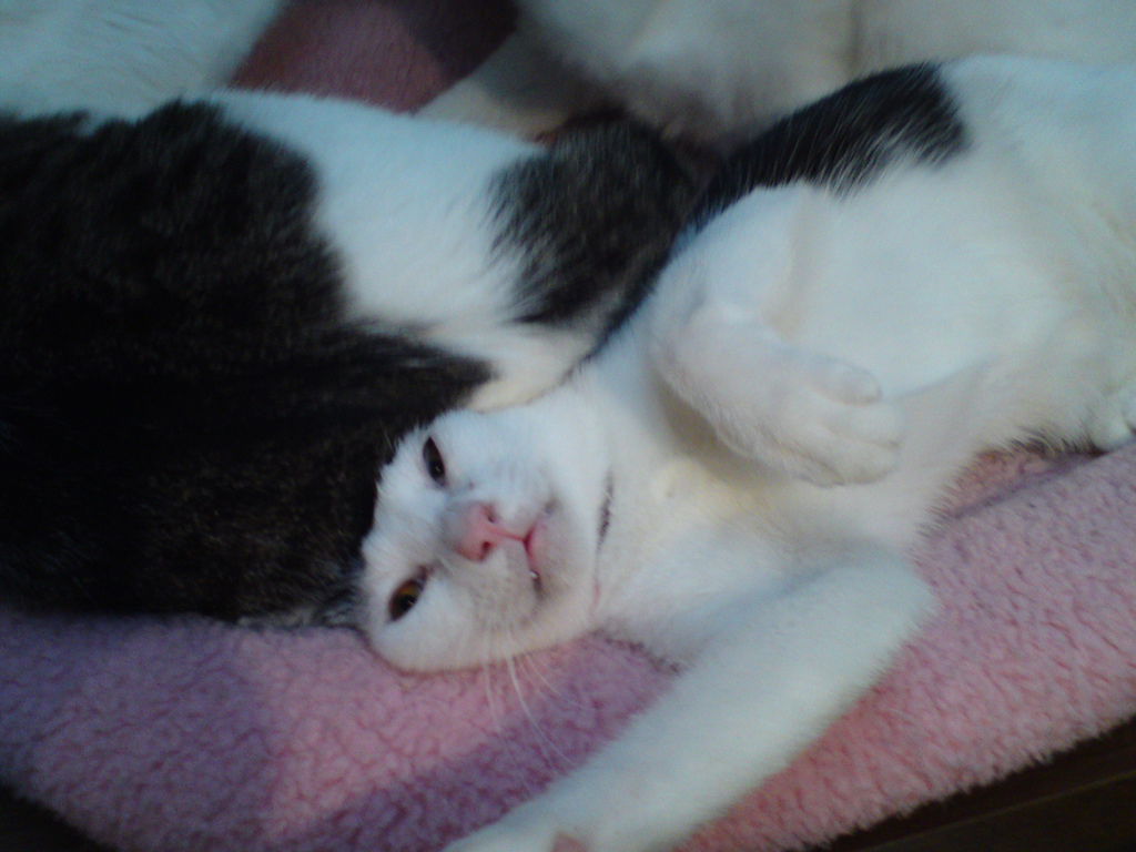 DSC04165 DSC04165