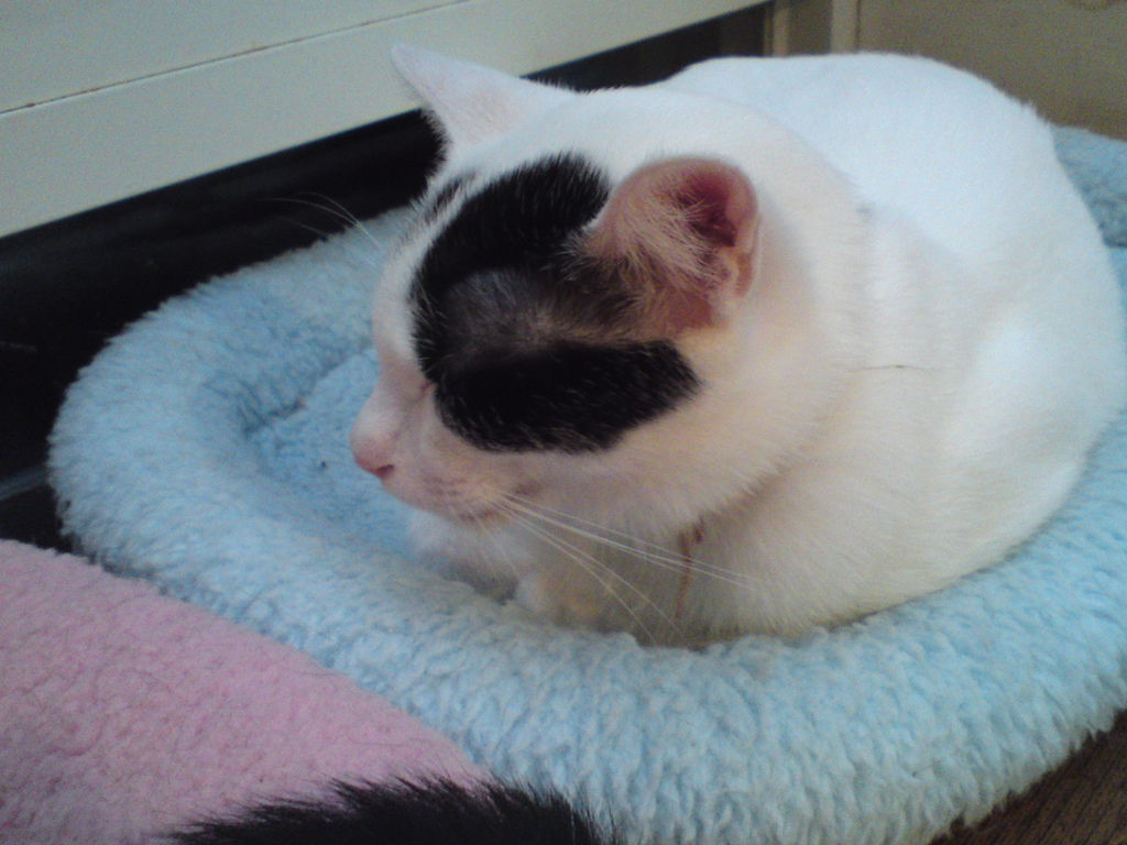 DSC04170 DSC04170