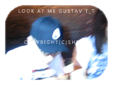 100504-gustav.gif