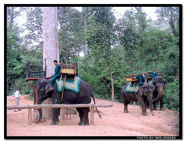 angkor006