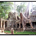 angkor079