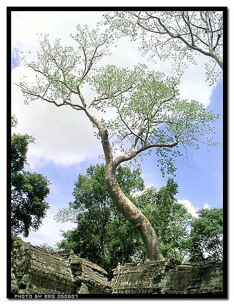 angkor118