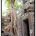 angkor129