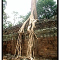 angkor132