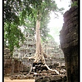 angkor135