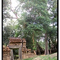 angkor136