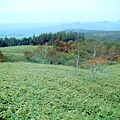 hokkaido2004100526