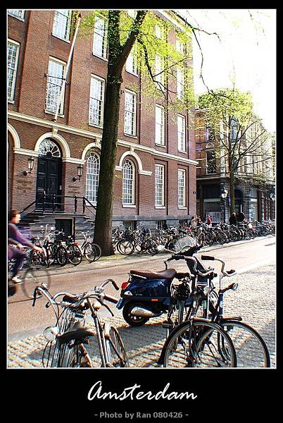荷蘭到處都是腳踏車