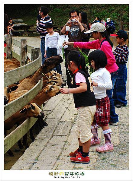 小孩子只要有動物可以餵都很瘋（包括我XD）