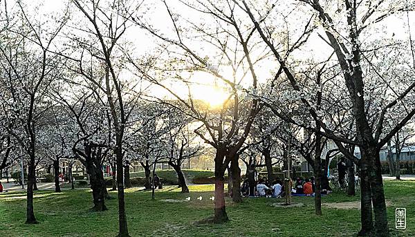 旅居日本：城北公園賞自然