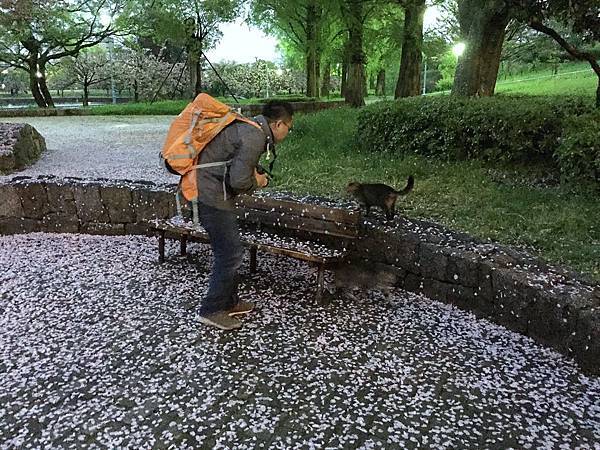 旅居日本:隨著自然在大阪轉了半圈 旅居日本:隨著自然在大阪轉了半圈