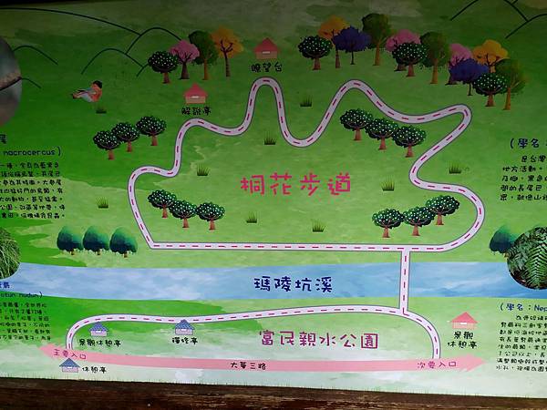 30基隆瑪西富民親水公園%26;桐花步道.jpg