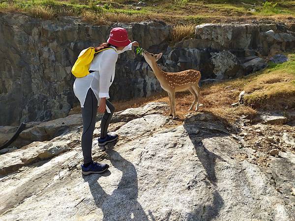 9馬祖北竿大坵島.jpg