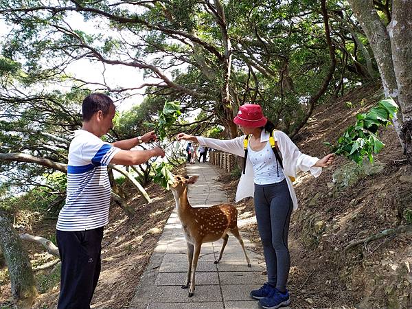 12馬祖北竿大坵島.jpg