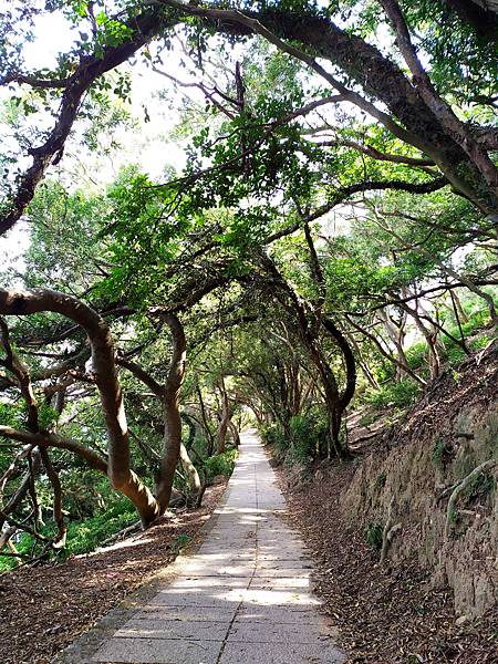 13馬祖北竿大坵島.jpg